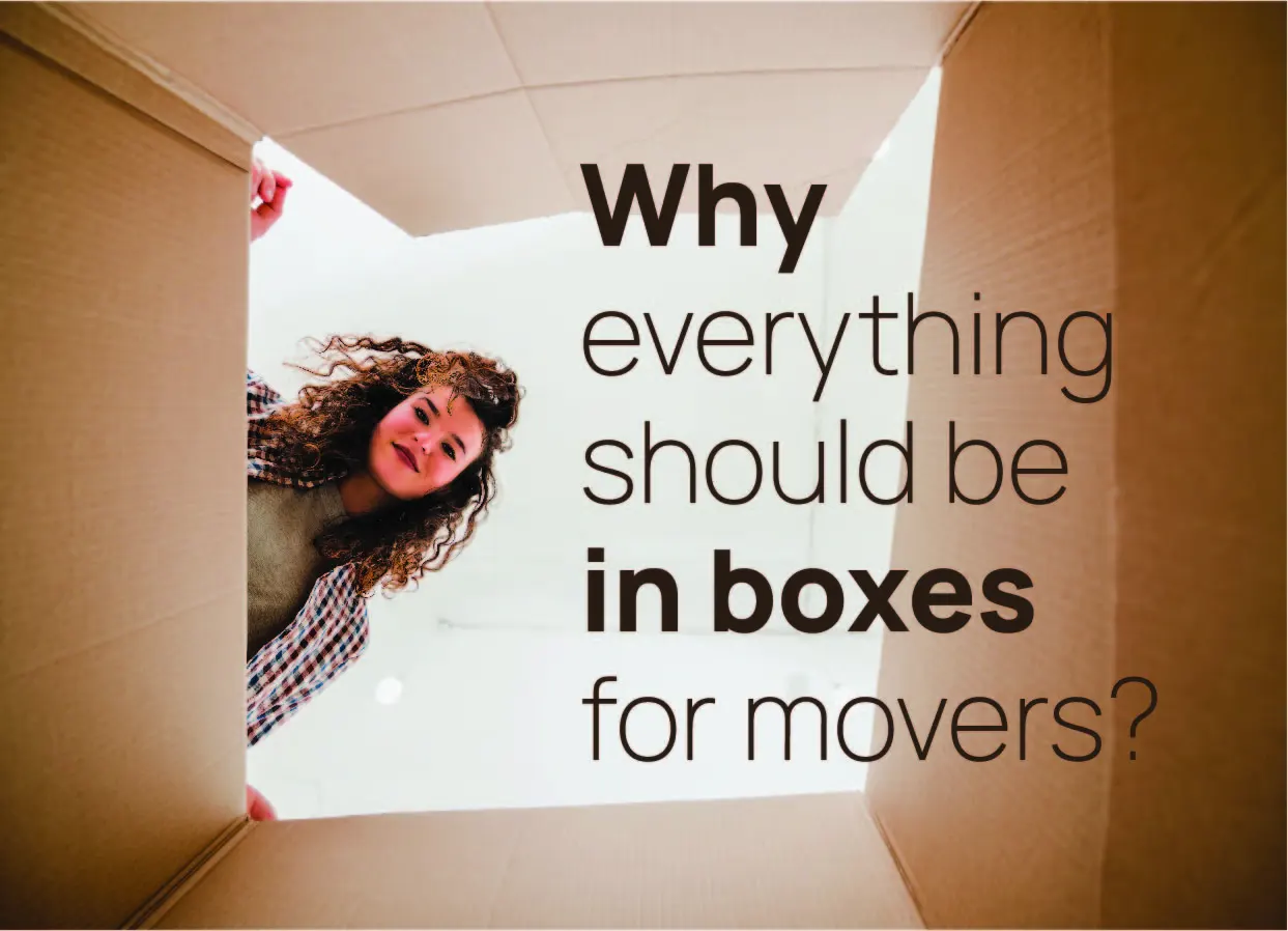 moving boxes for packing