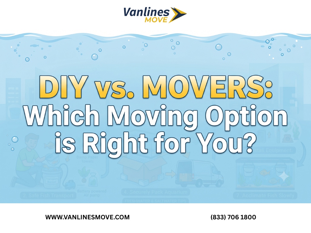 DIY vs professional movers: comparing costs, effort, and benefits for your move.