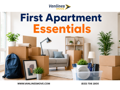 A comprehensive collection of first apartment essentials including kitchenware, bedding, and cleaning supplies for new renters.