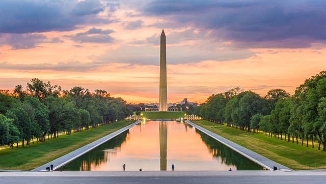 Moving Company in Washington