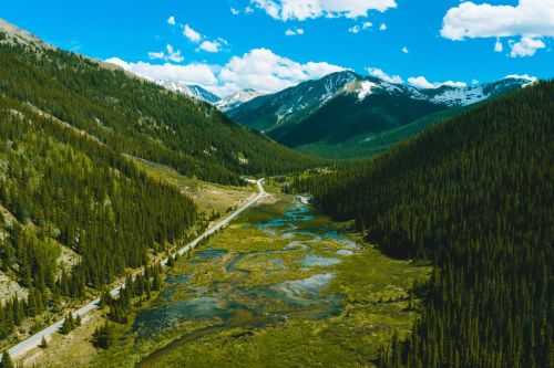 Moving Company in Colorado