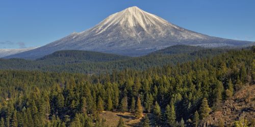 Moving Company in Oregon